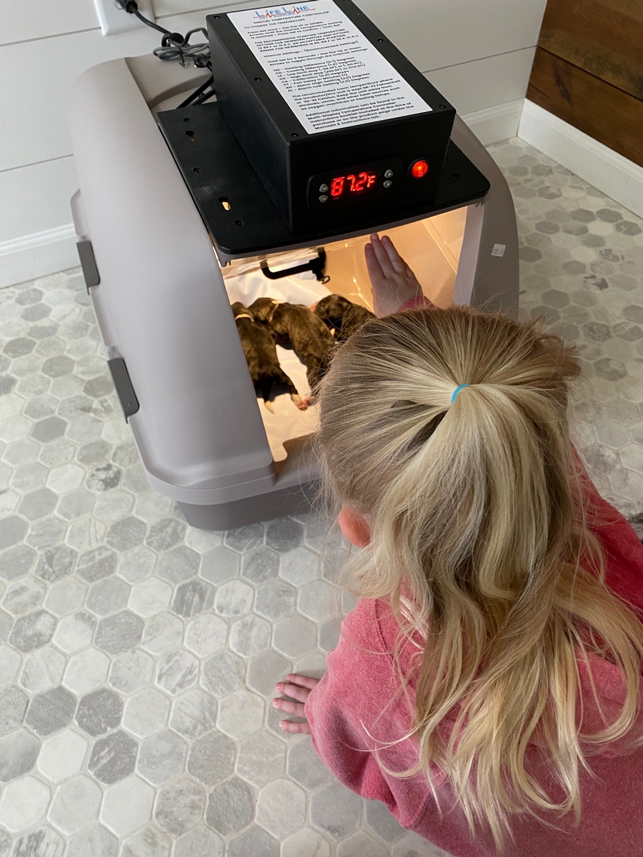 How We Raise Them How We Raise Them